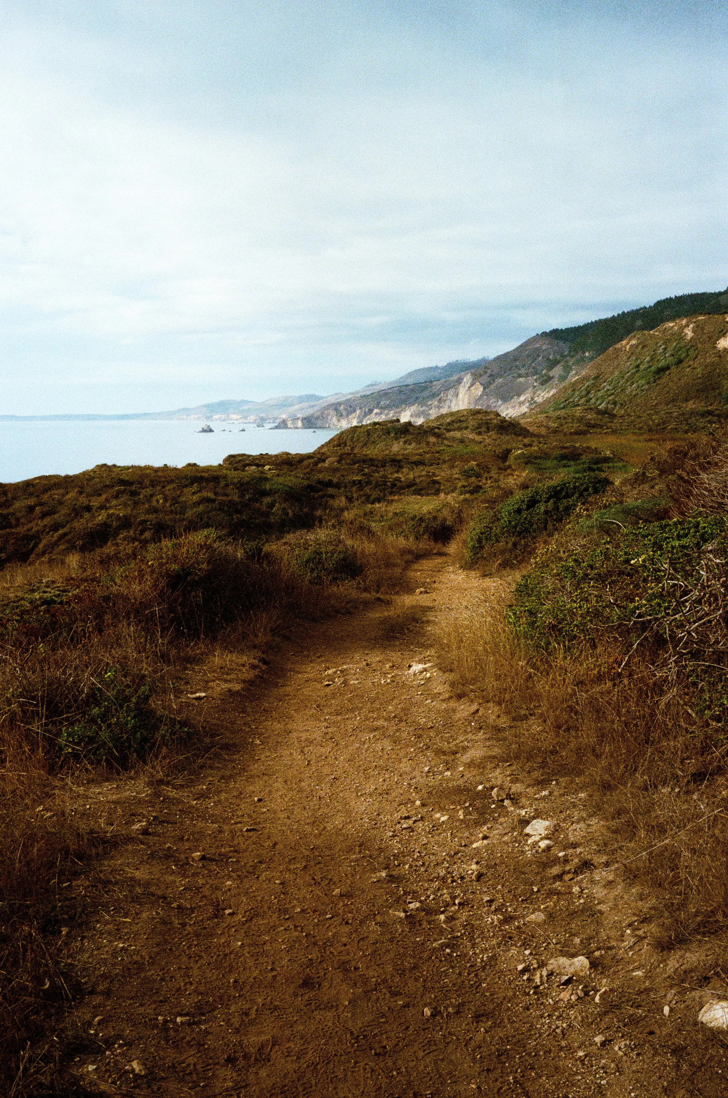 Leica_M4-2_00270.jpg