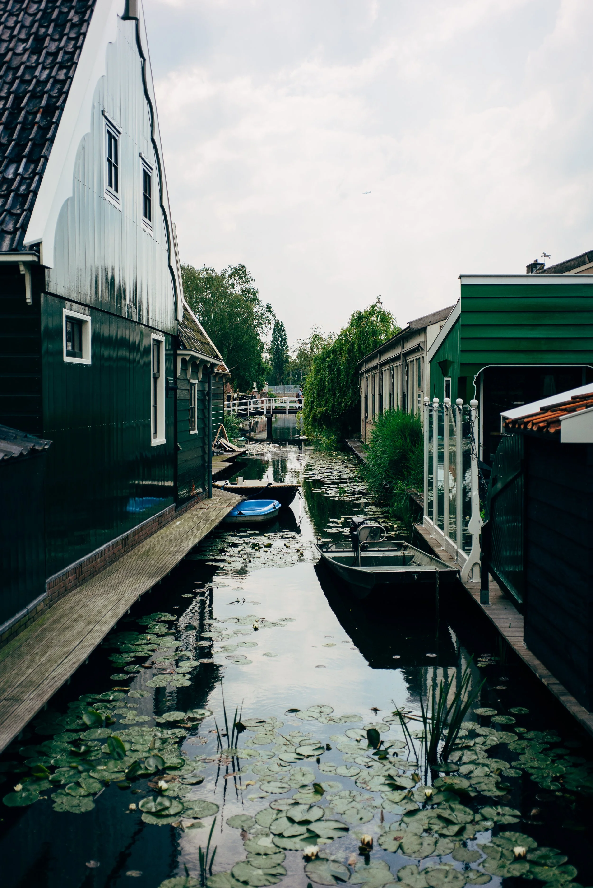 L1003109.jpg
