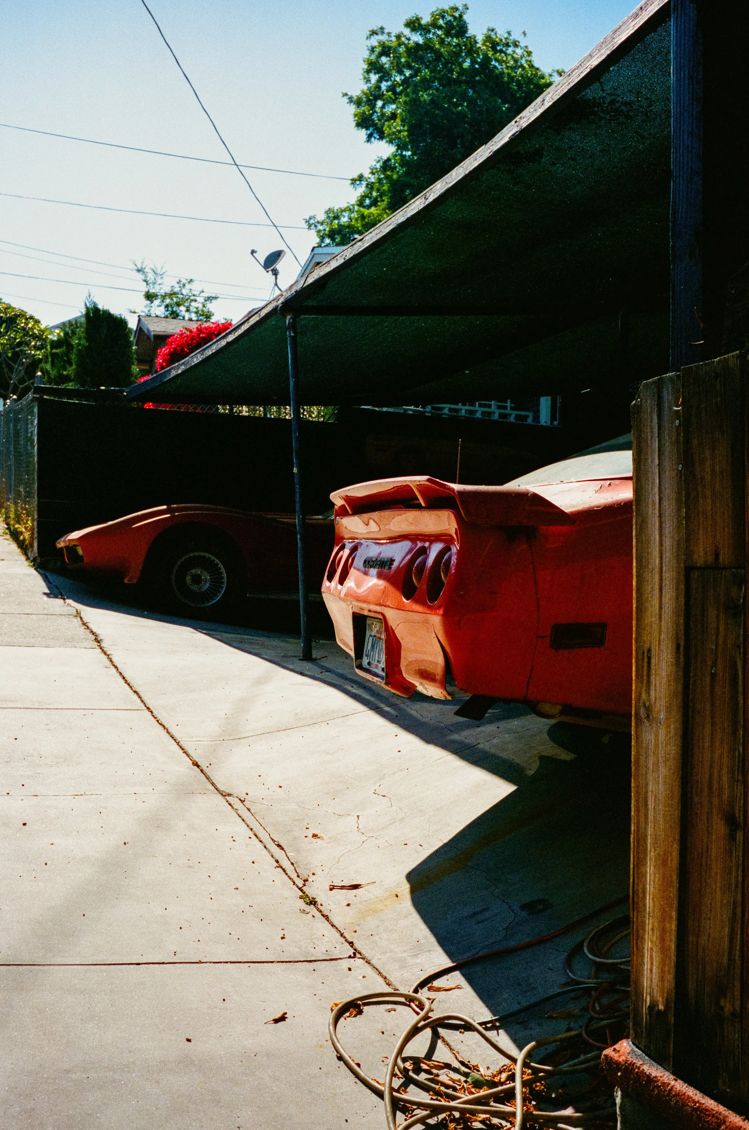 Leica_M4-2_00056.jpg
