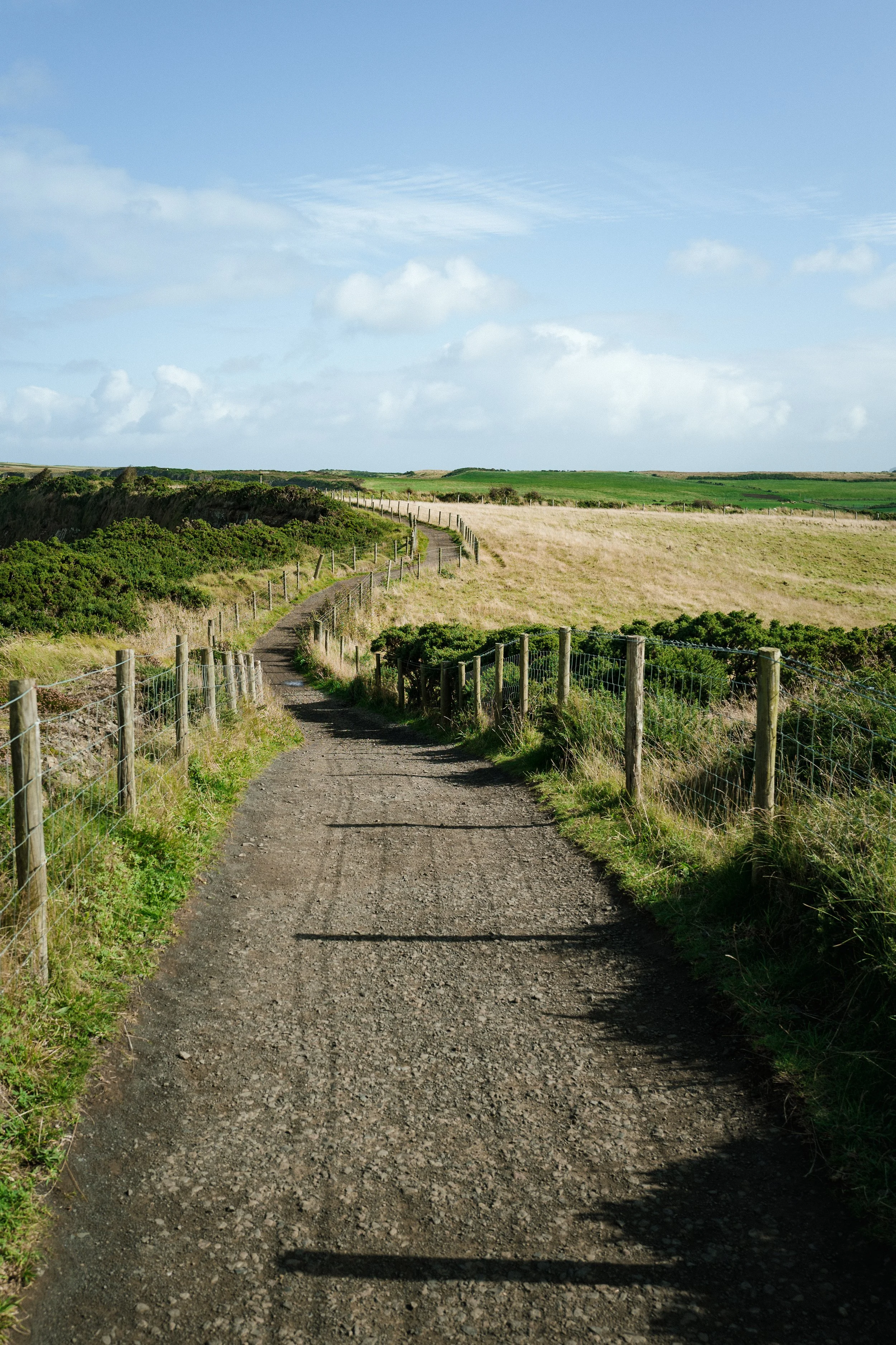 L1200017.jpg