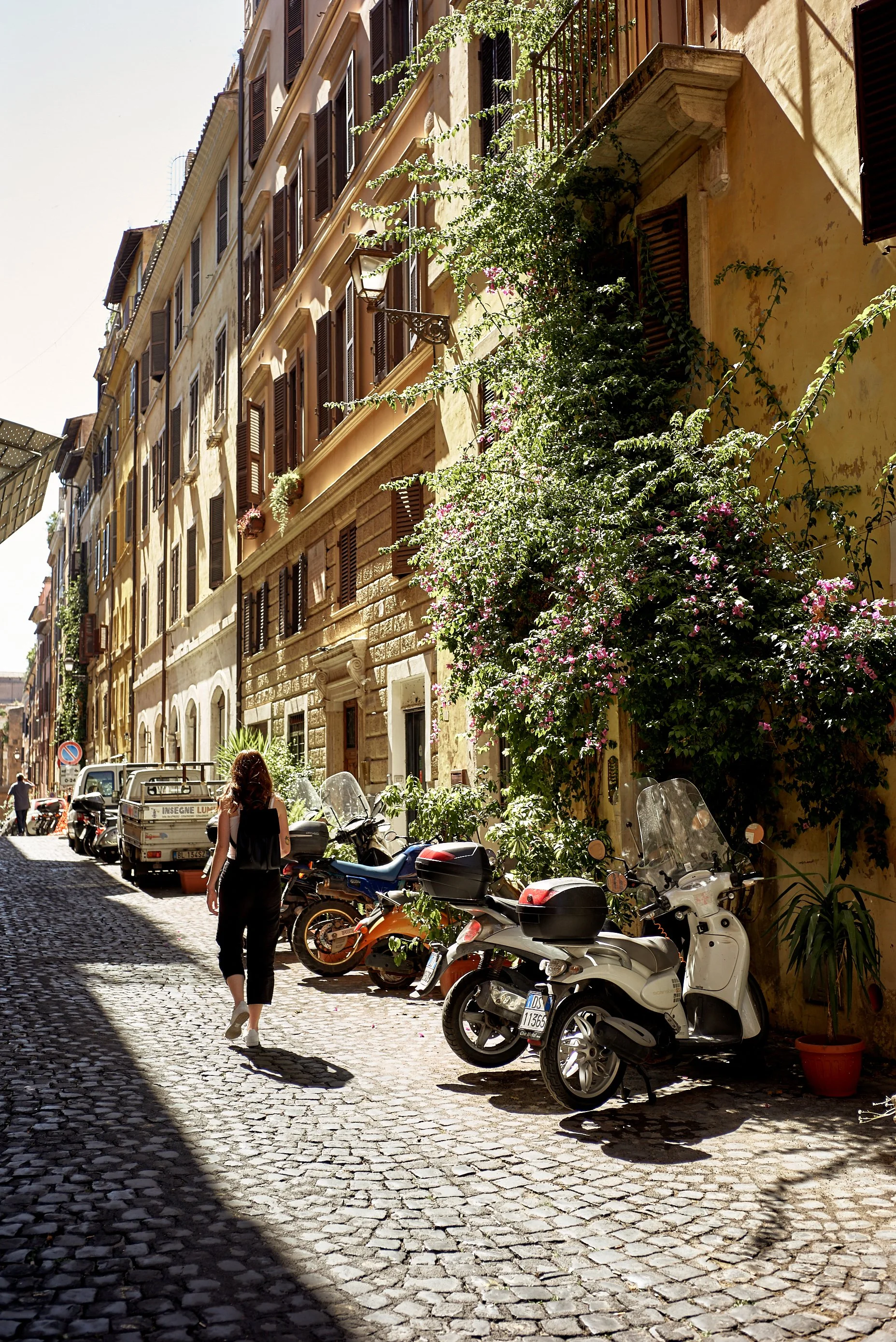 L1003752.jpg