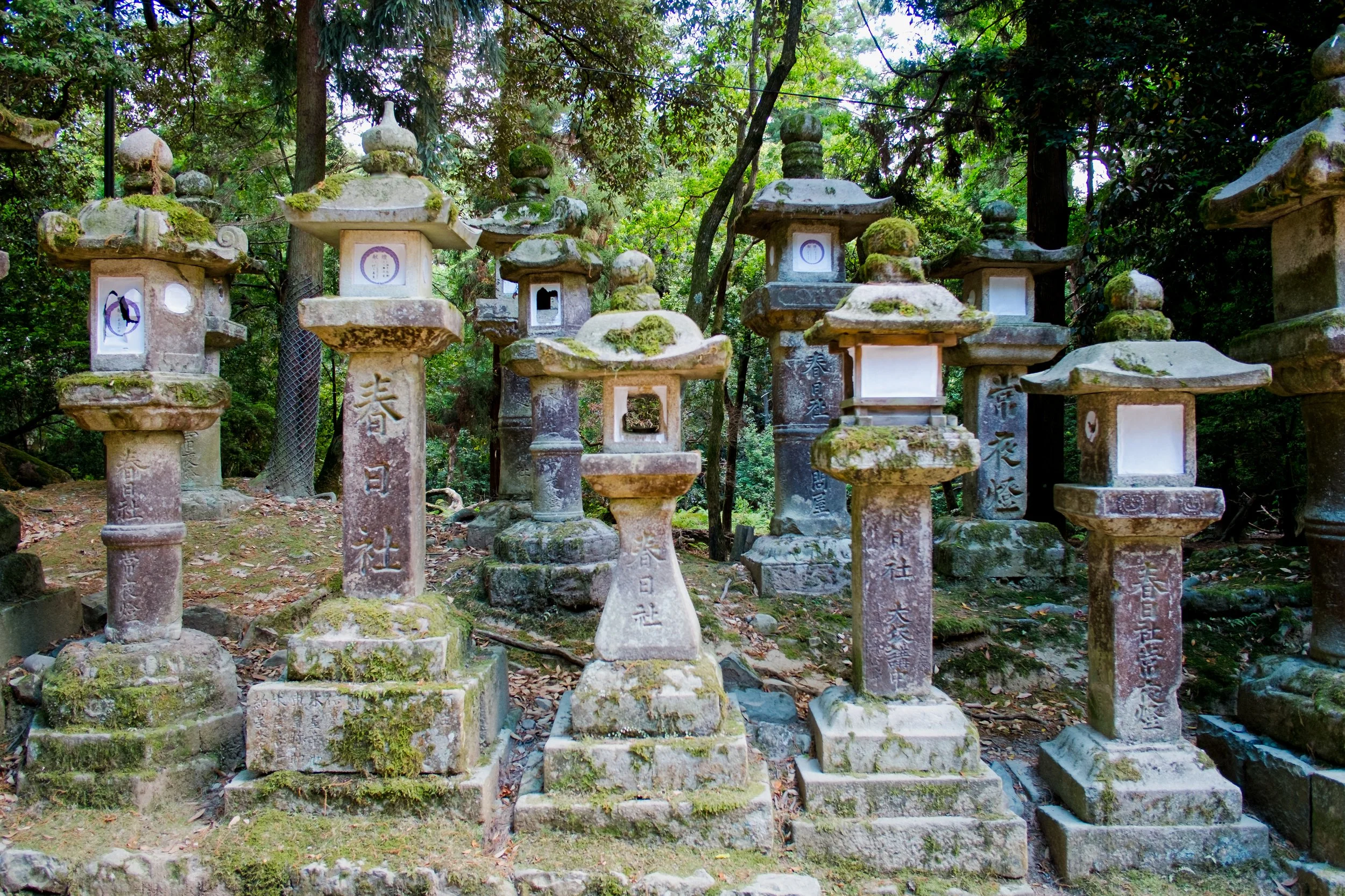 DSCF0931.jpg