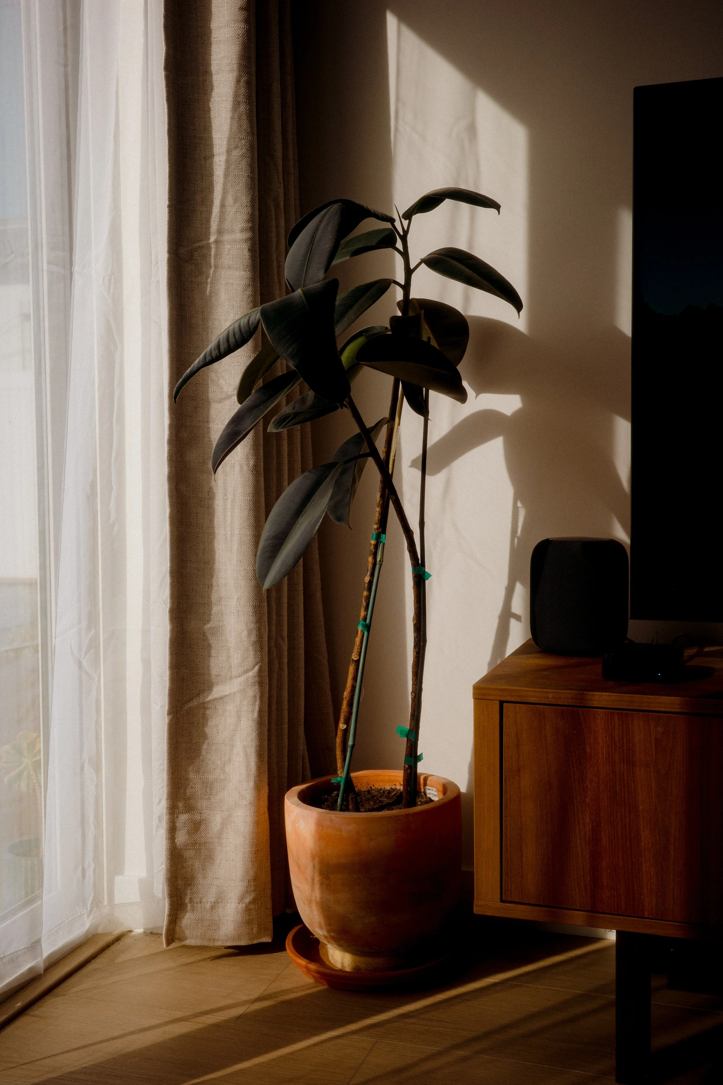 R0000652.jpg