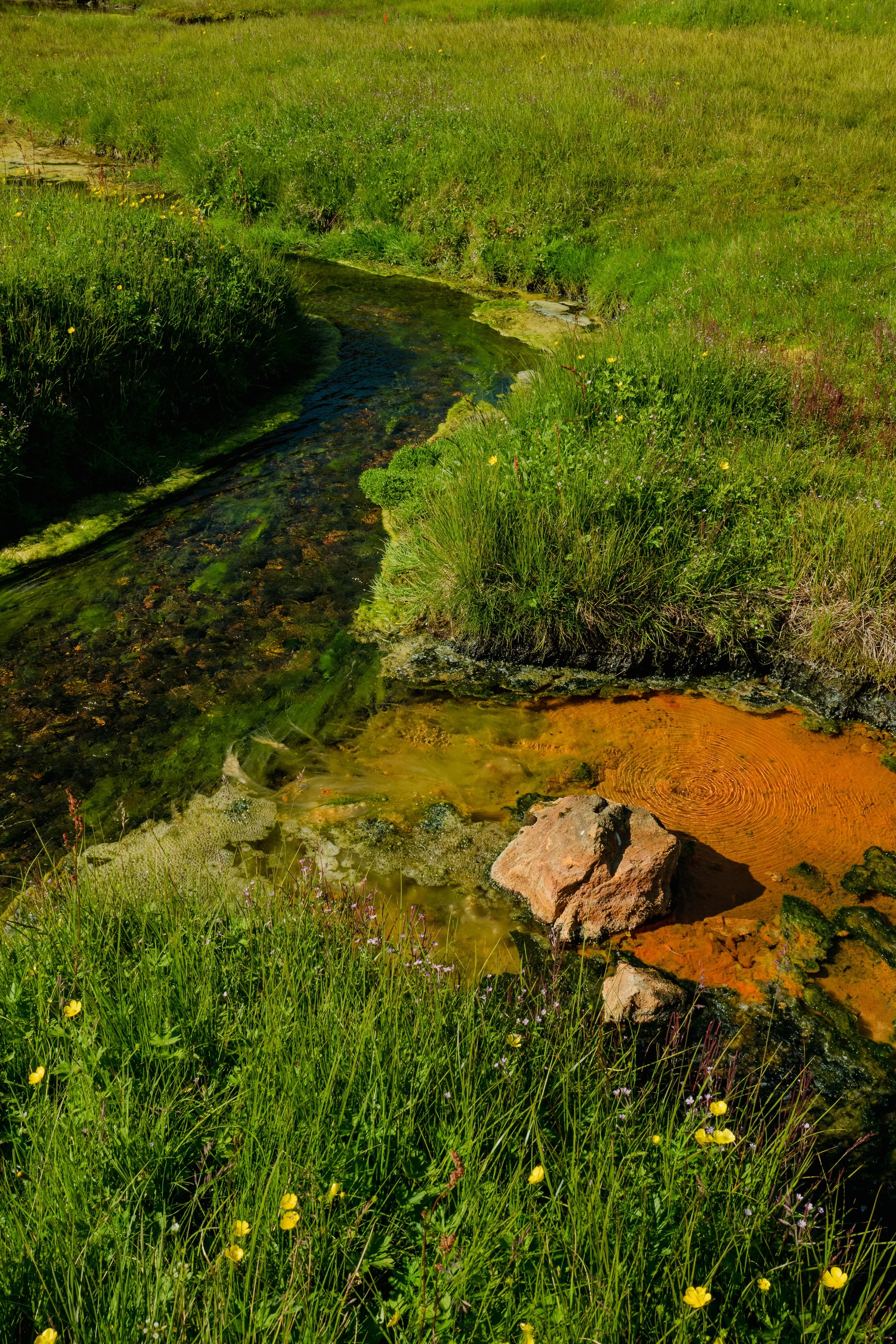 L1200344.jpg