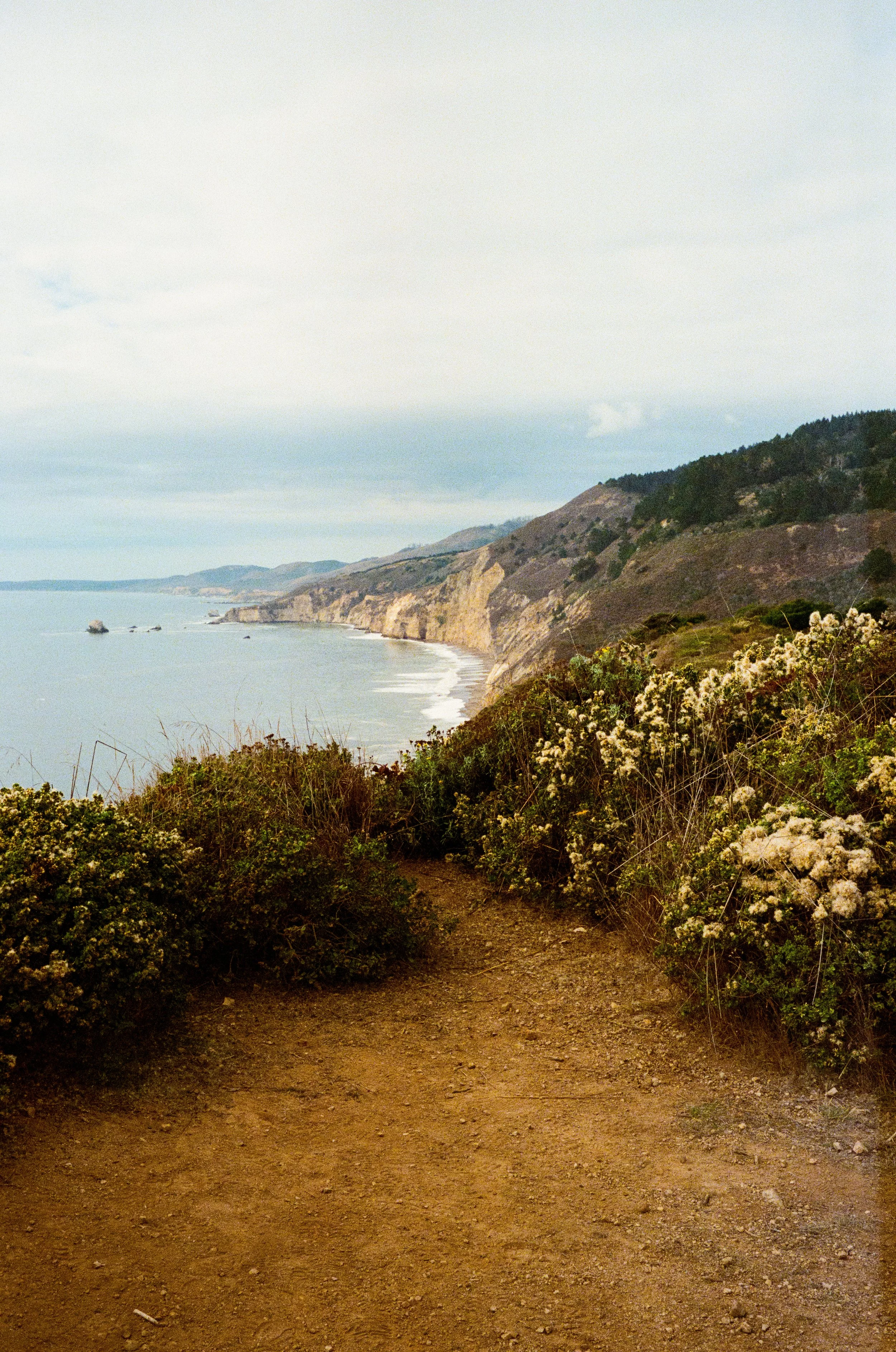 Leica_M4-2_00269.jpg
