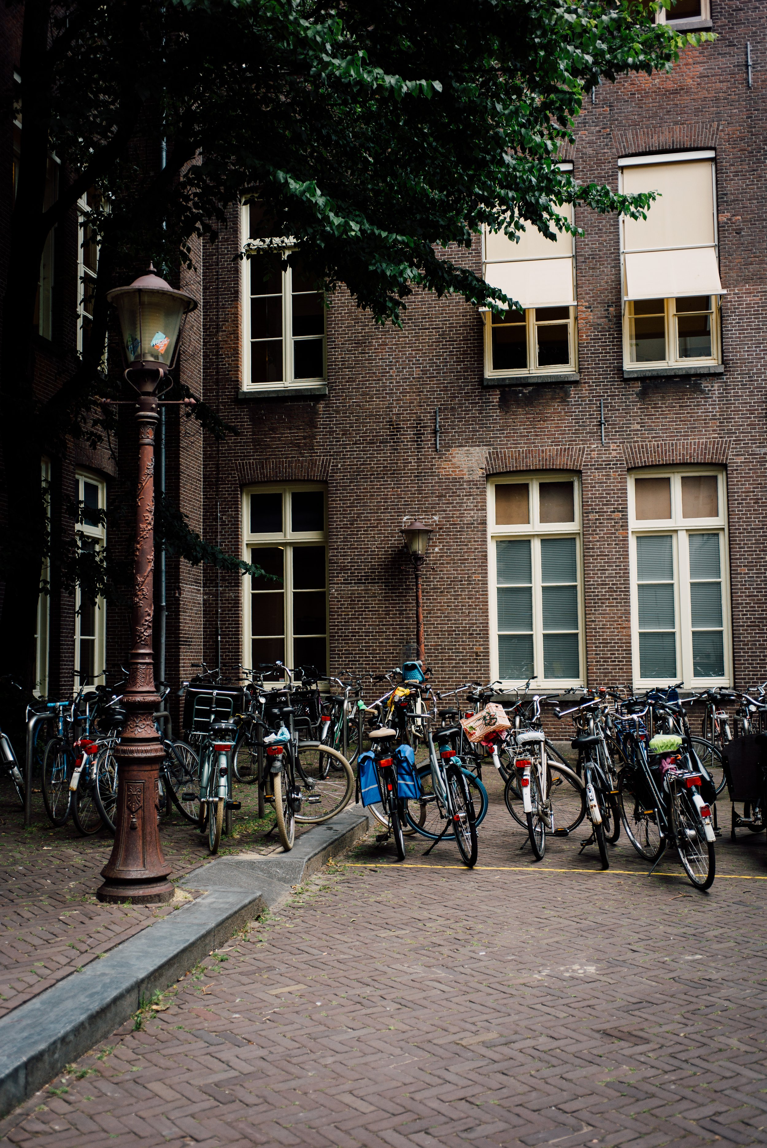L1003262.jpg