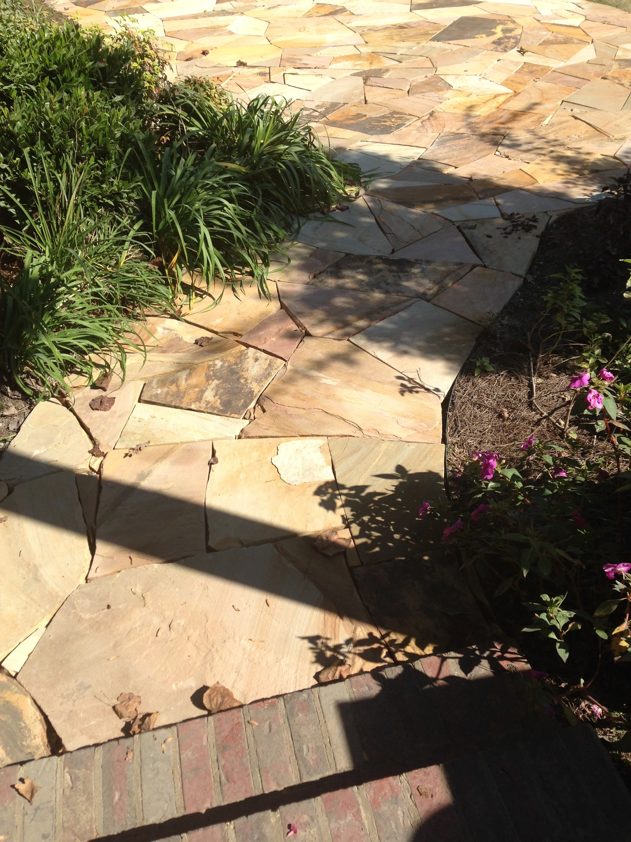 IMG_3988.jpg