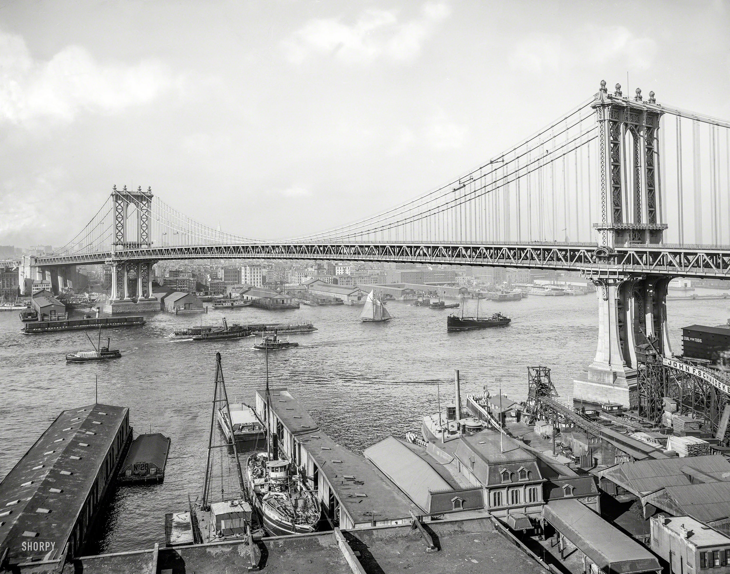 SHORPY-4a23875a.jpg