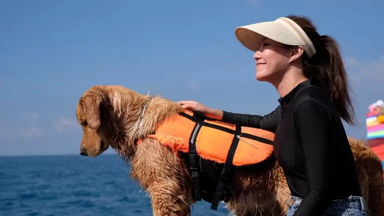 Best Dog-Friendly Cruises in New York Harbor