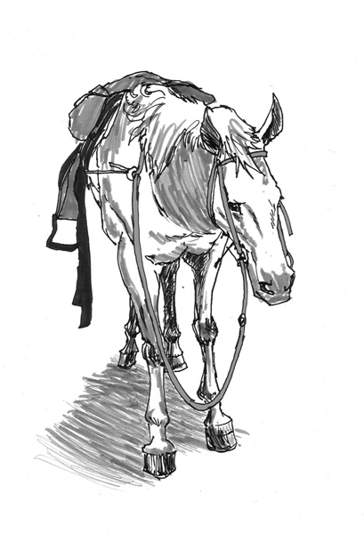 Horse With No Name