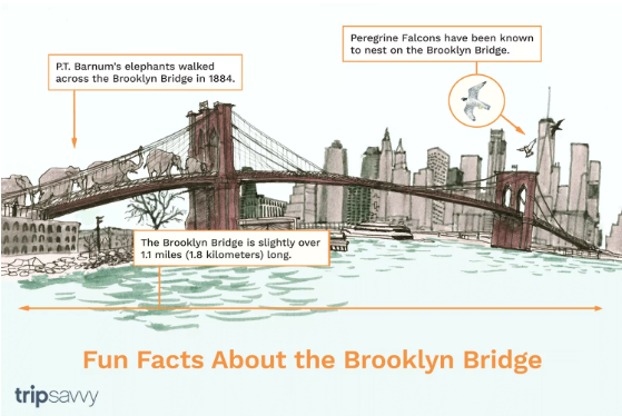 How Long is the Brooklyn Bridge? In Miles and Metres?