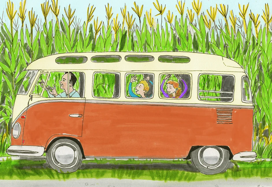 VWCornfieldweb.jpg