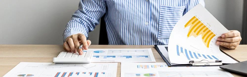 What is an Income Statement?