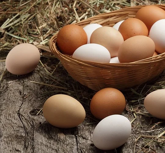 What is Diversification?