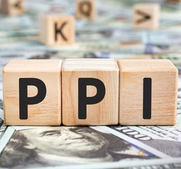 What is the PPI?