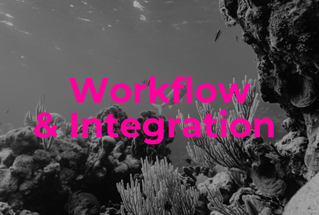 Ai Consulting - Workflow & Integration.png