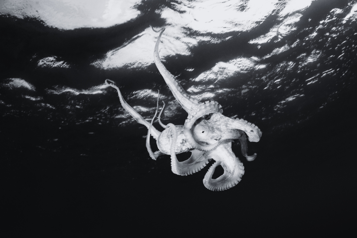 Everyone is in Security!