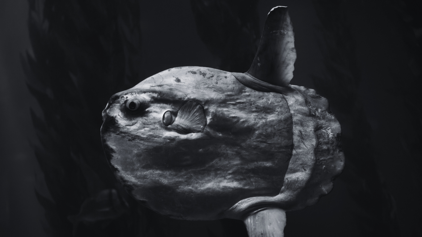 Cybersecurity Is a Human Skill