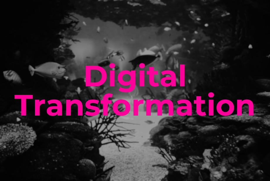 Management Consulting- Digital Transformation.png