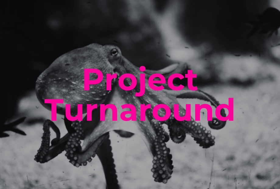 Management Consulting - Project Turnaround.png