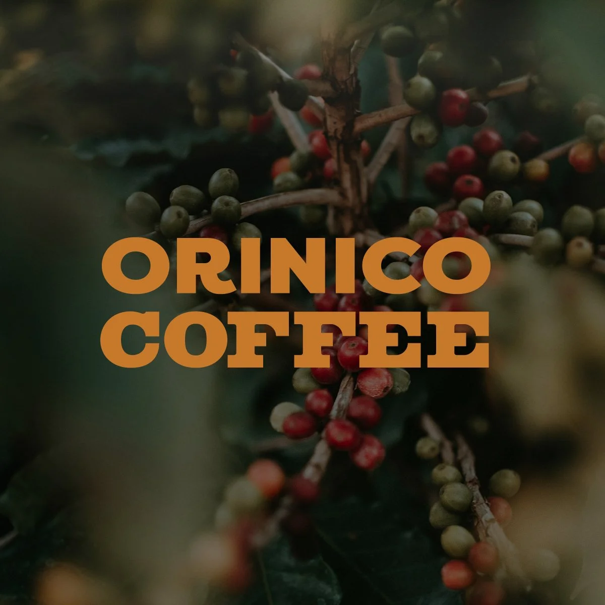 orinico-social-media-image-v1.jpg