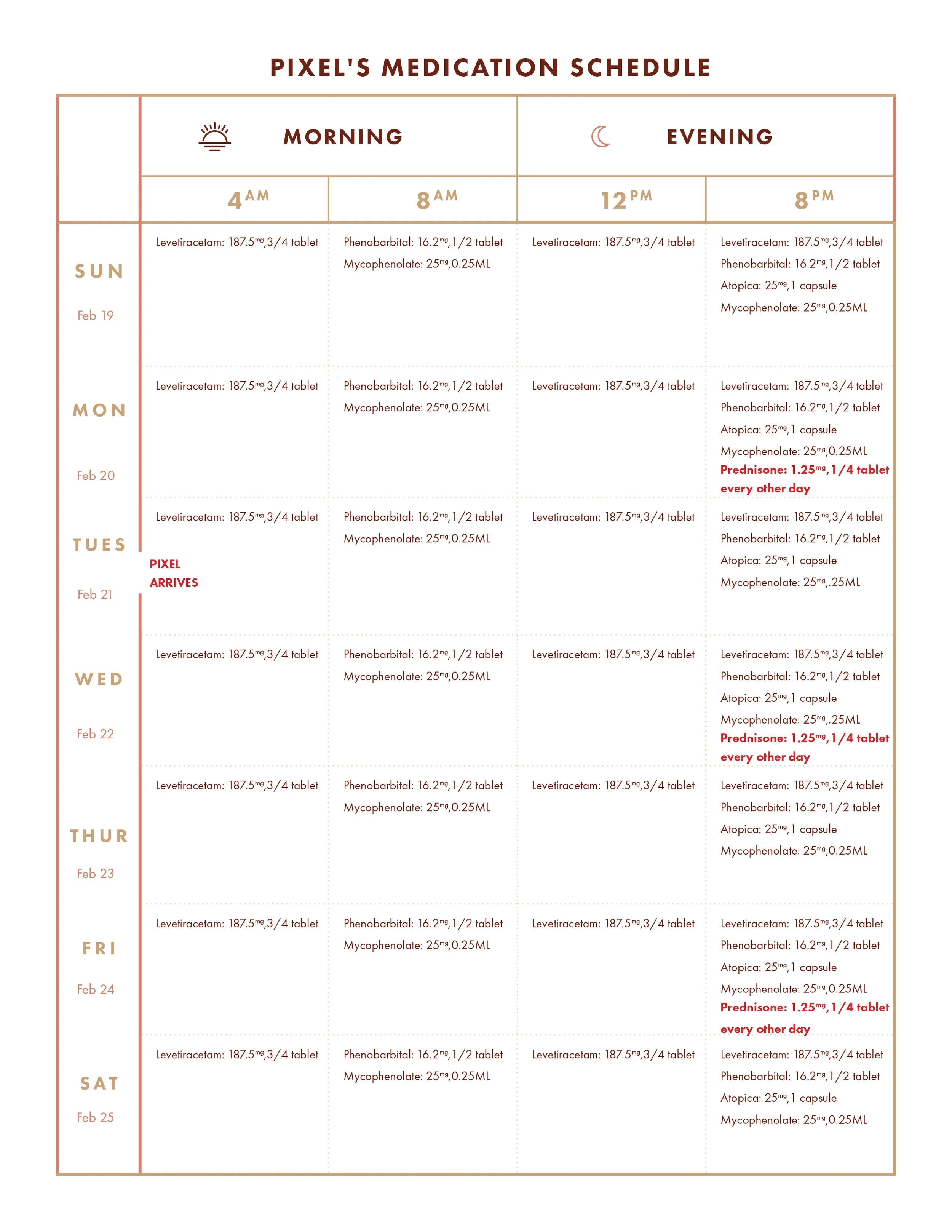 Pixel's-Medication-Schedule.jpg