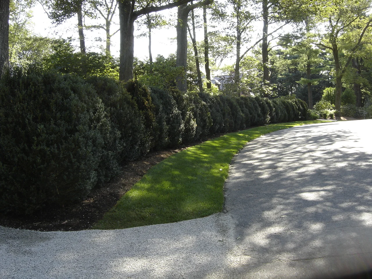 Wellesley11.JPG