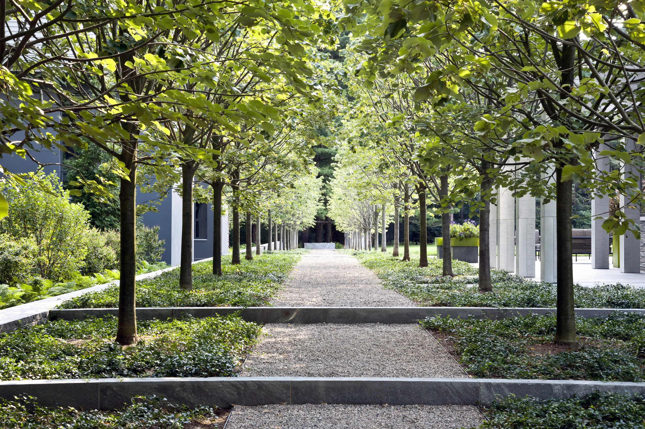 ChestnutHill6.jpg