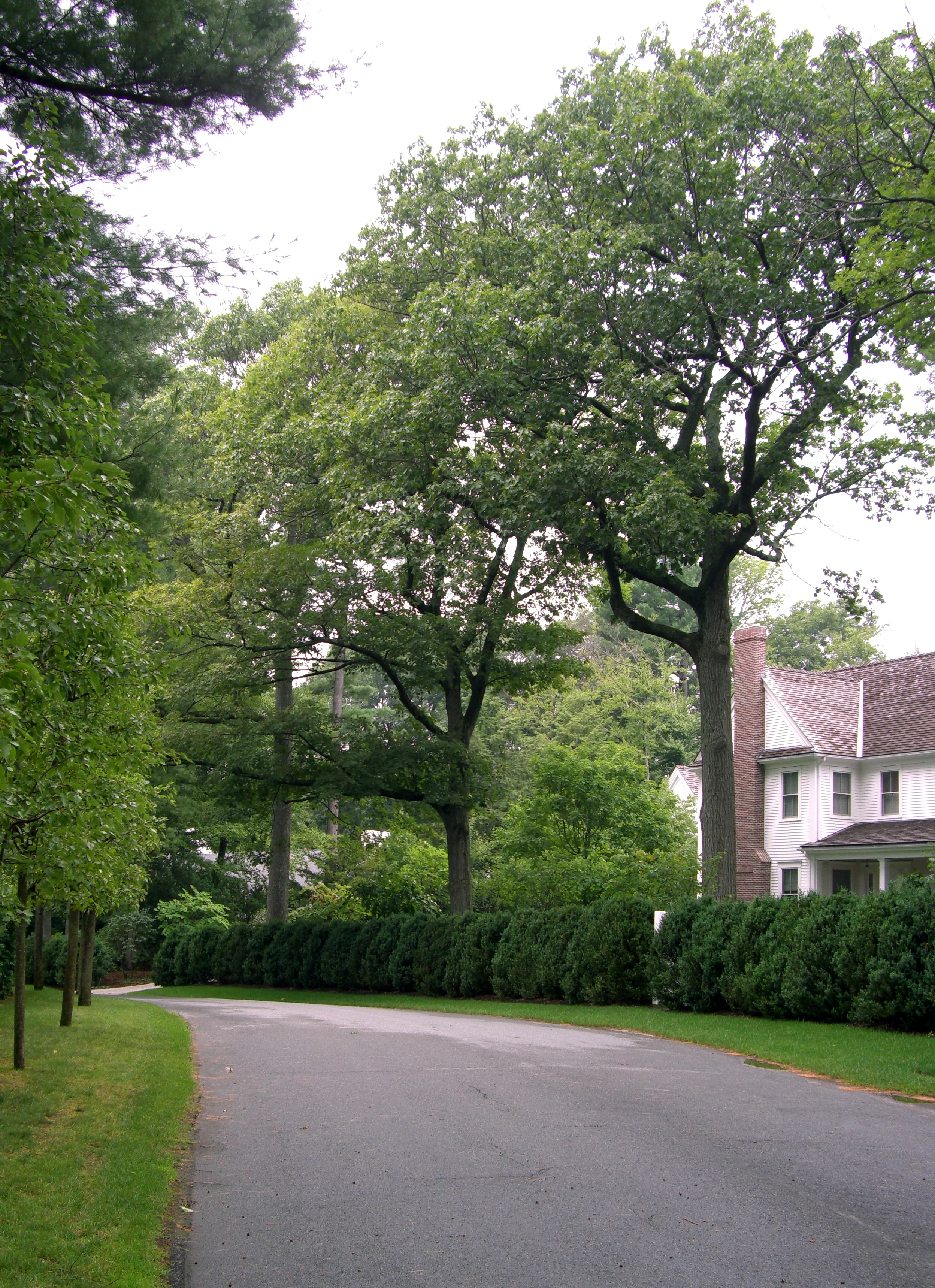 Wellesley1.jpg