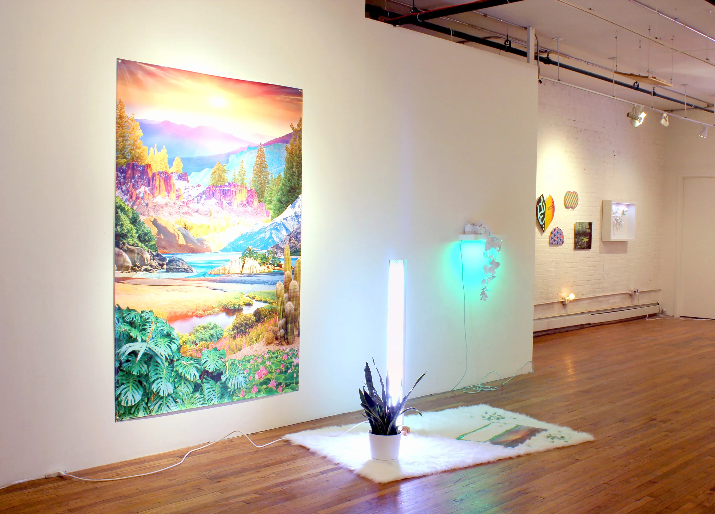 Matt Spahr and Val Molnar Sunset for a transcendent driver 2017 Step-and-repeat, shag rug, sunset lights, snake plant, puzzle, salt rock 10' x 15' 8'
