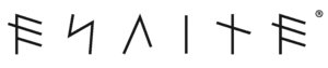 ENLITE+VISION+FINAL+LOGO.jpg