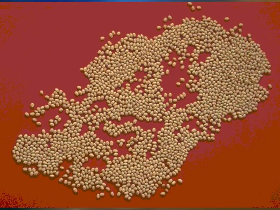 AAPG DL 2015-17 PRESENTATION COGNITIVE BIAS AUG 2016 (25).JPG