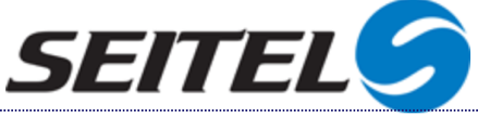 Seitel Logo.png