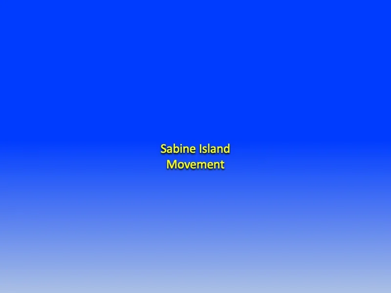 Dale Short Tectonic Movement Sabine Island Slide10.jpg