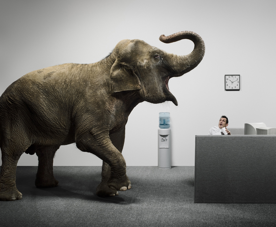 Portfolio_Elephant_crop:longer cube.jpg