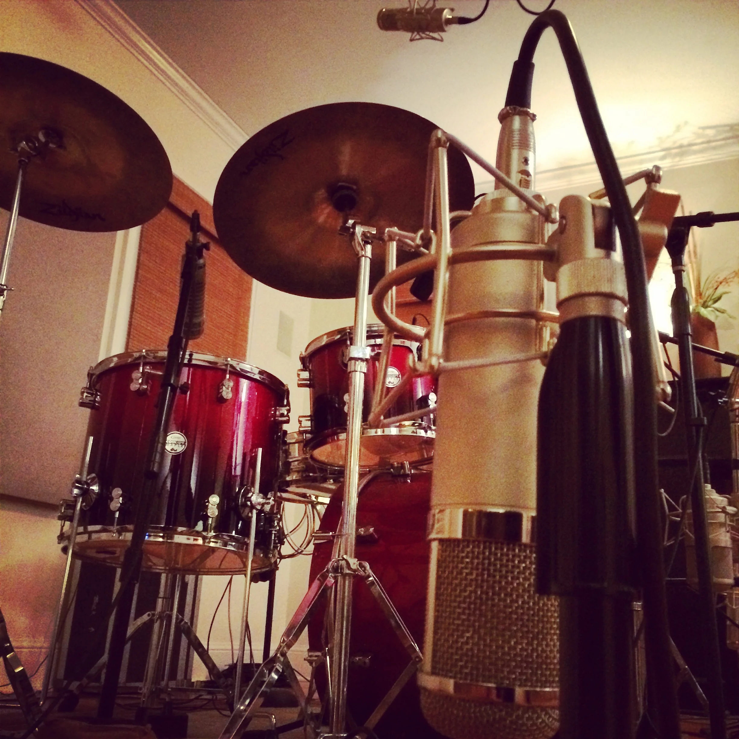 Young Cardinals Tracking Sessions - Peluso 47 - Stump Sound - Louisburg, NC