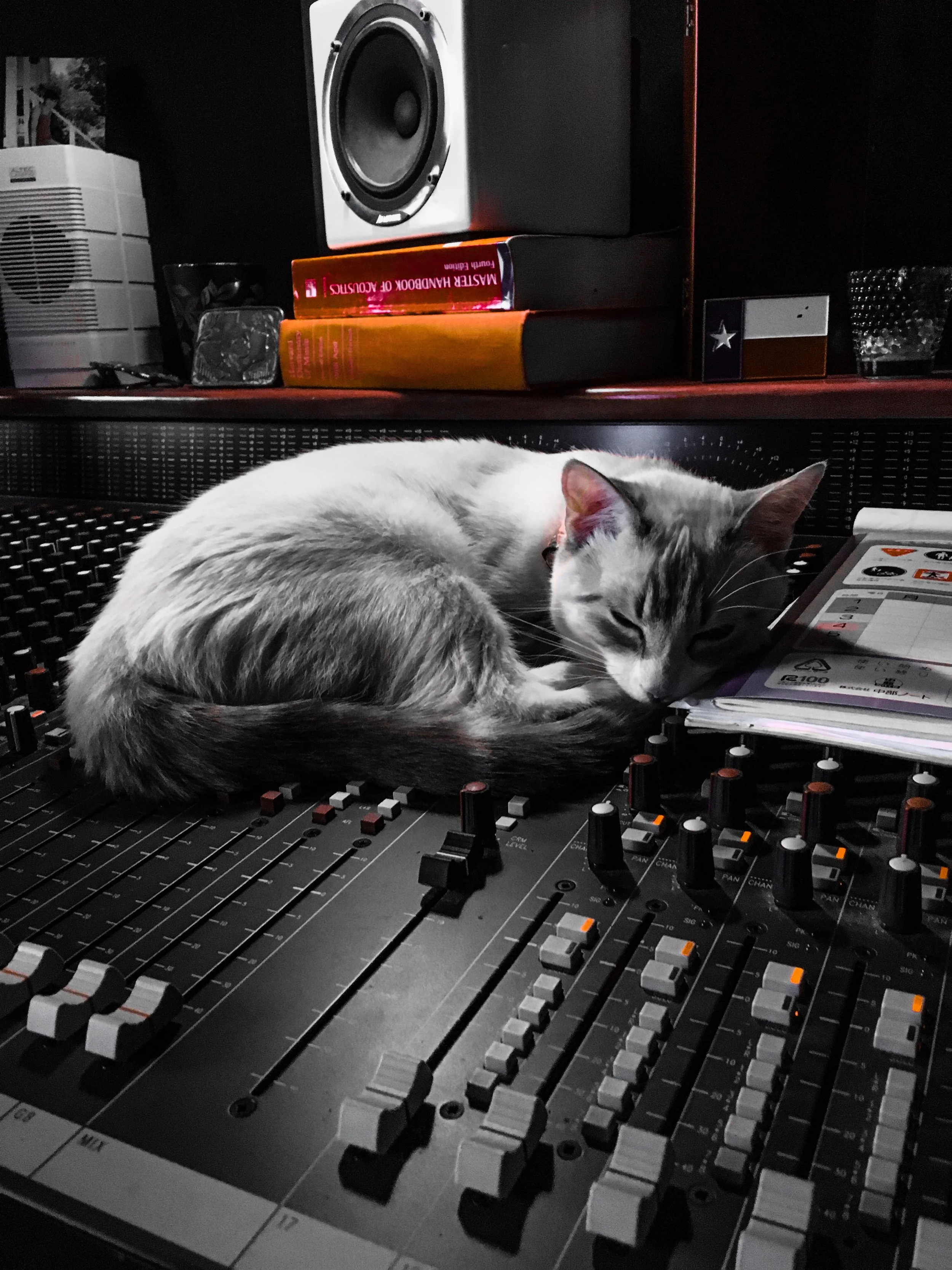 Hime - My Studio Cat - Sleeping on my Modified Ghost Console - Tn