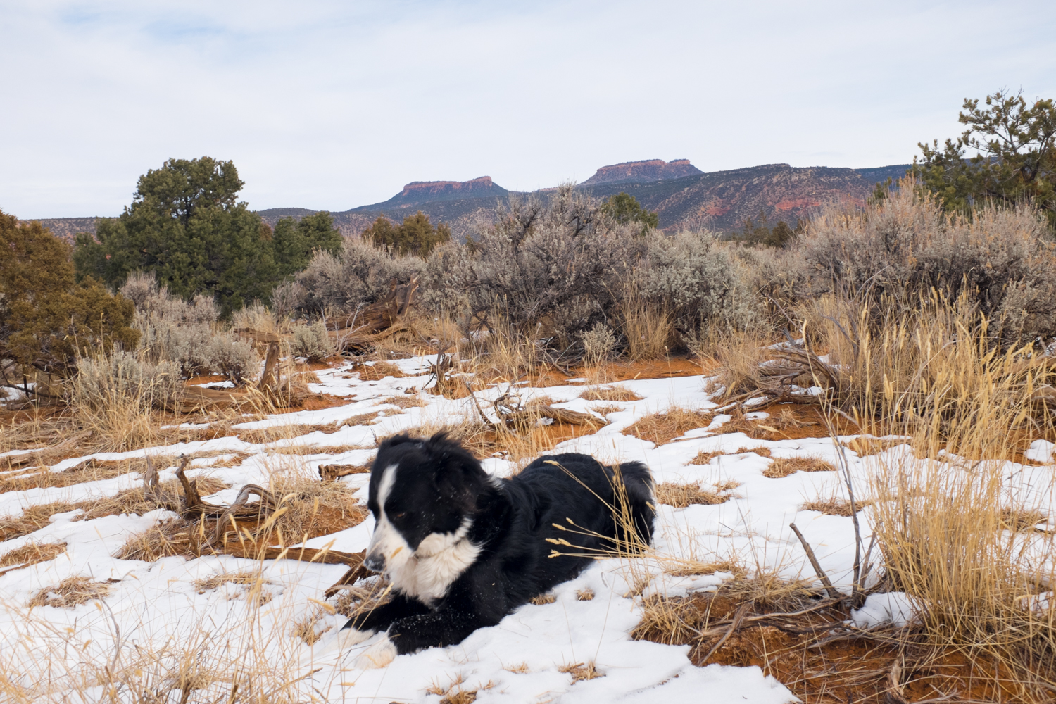 75. Bear's Ears, Part Two , January 29, 2018
