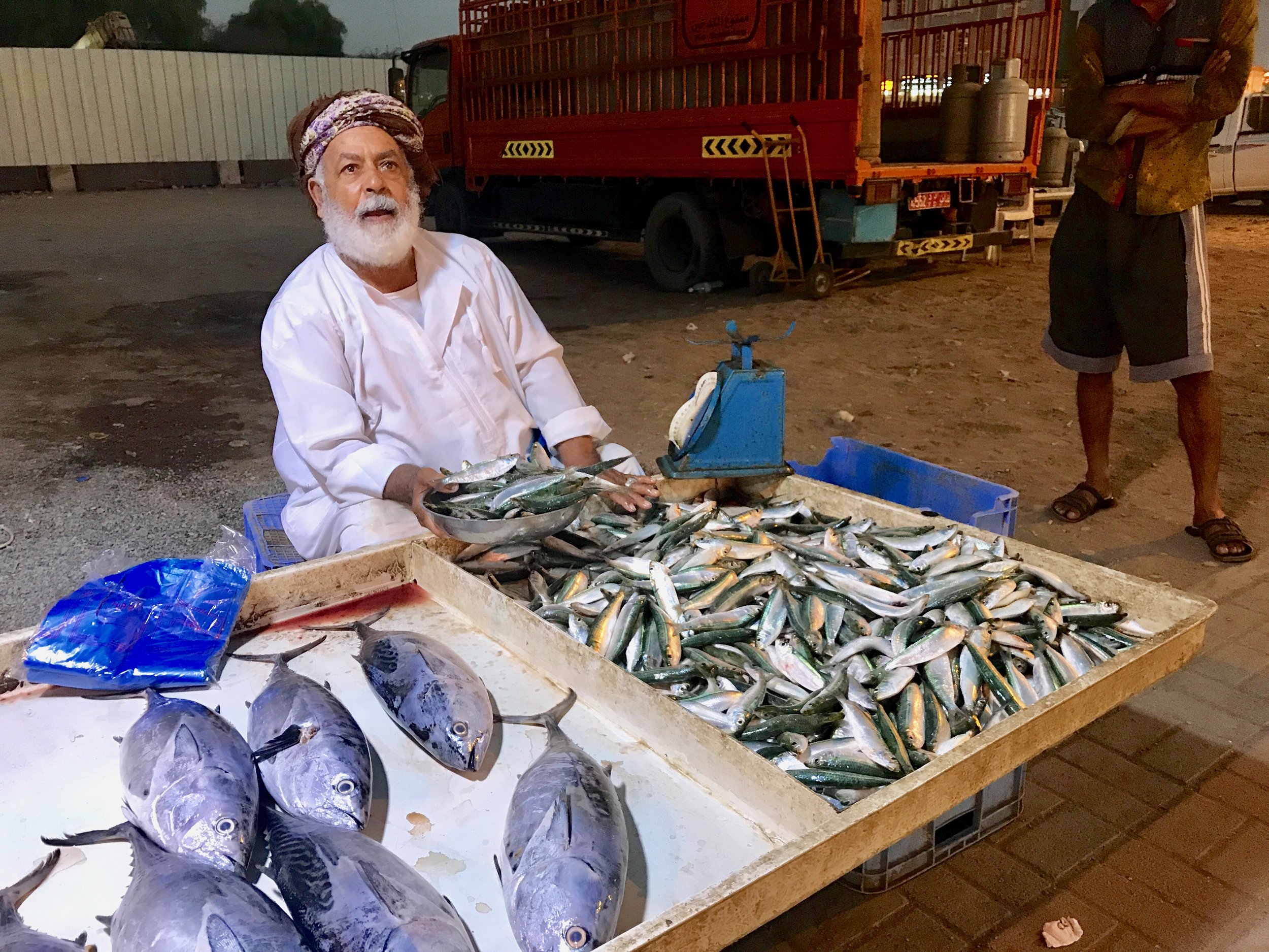 Tuna and Sardines, Muscat, Oman.