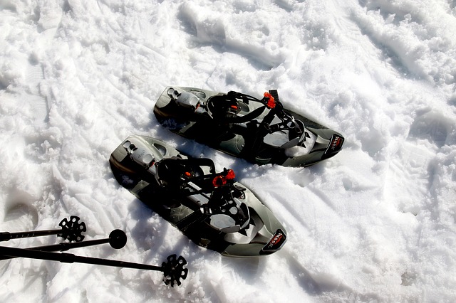 snow-shoes-417933_640.jpg