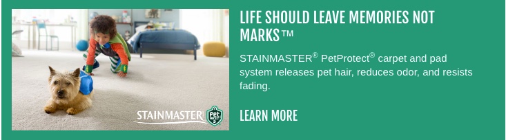 Stainmaster tear 2.jpeg