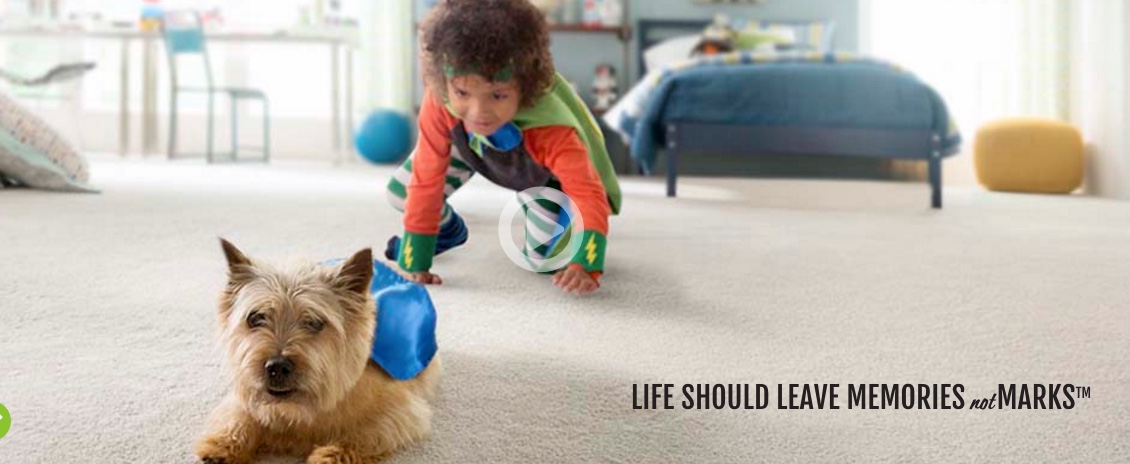 StainMaster Pet Protect 2.jpeg