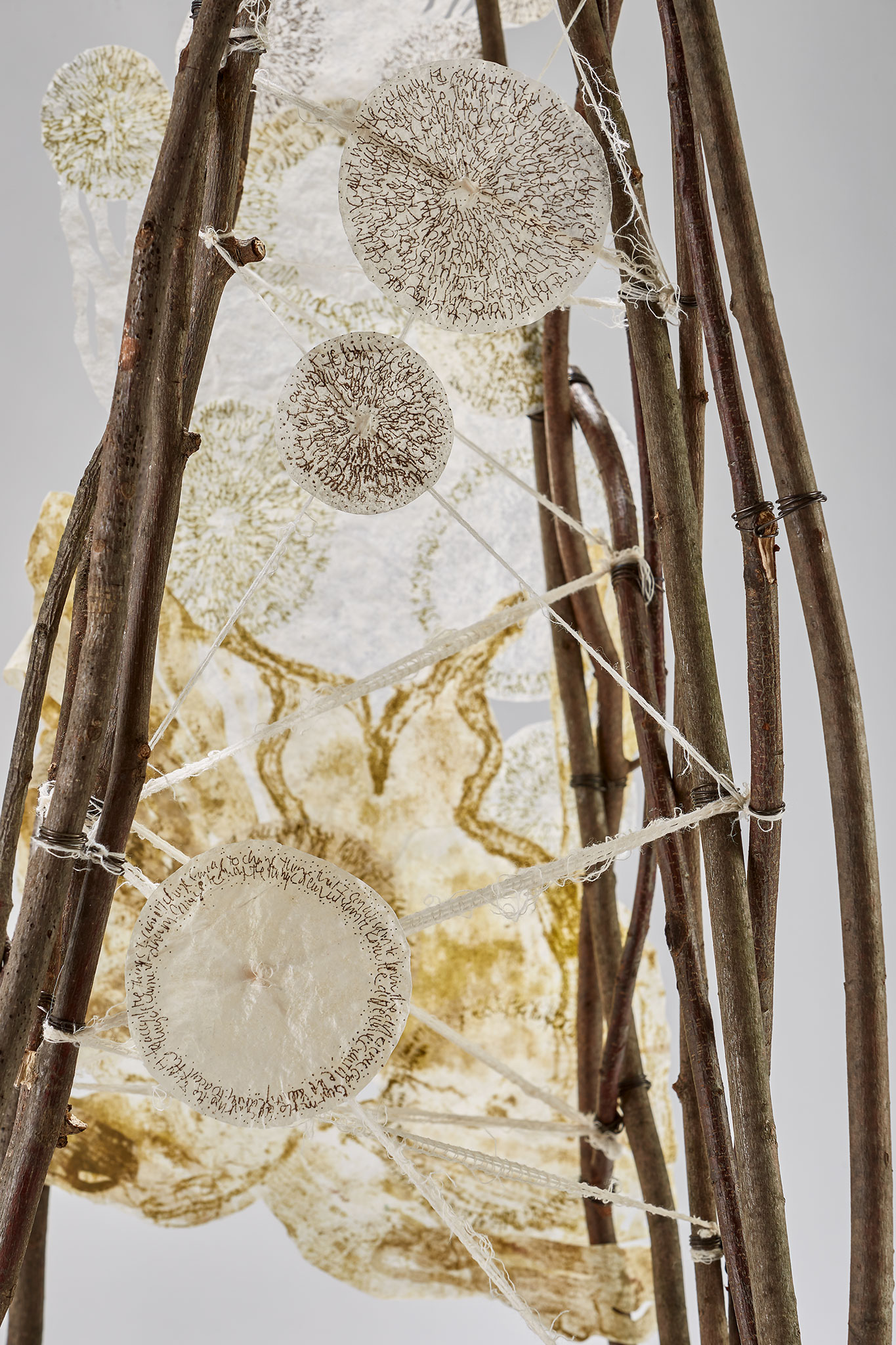 Artist S Blog Jacqui Crocetta Art Design Jacqui Crocetta