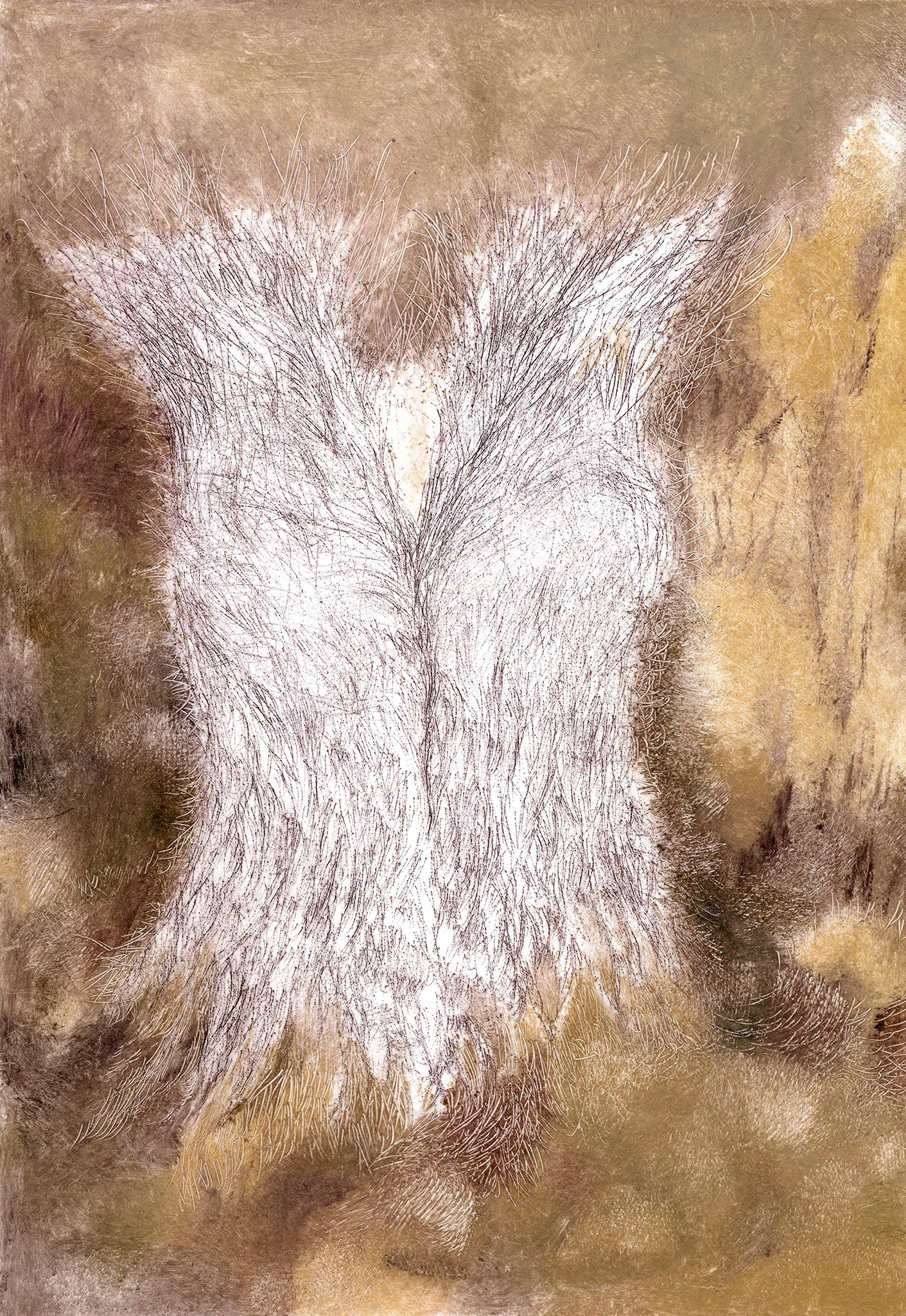 nest