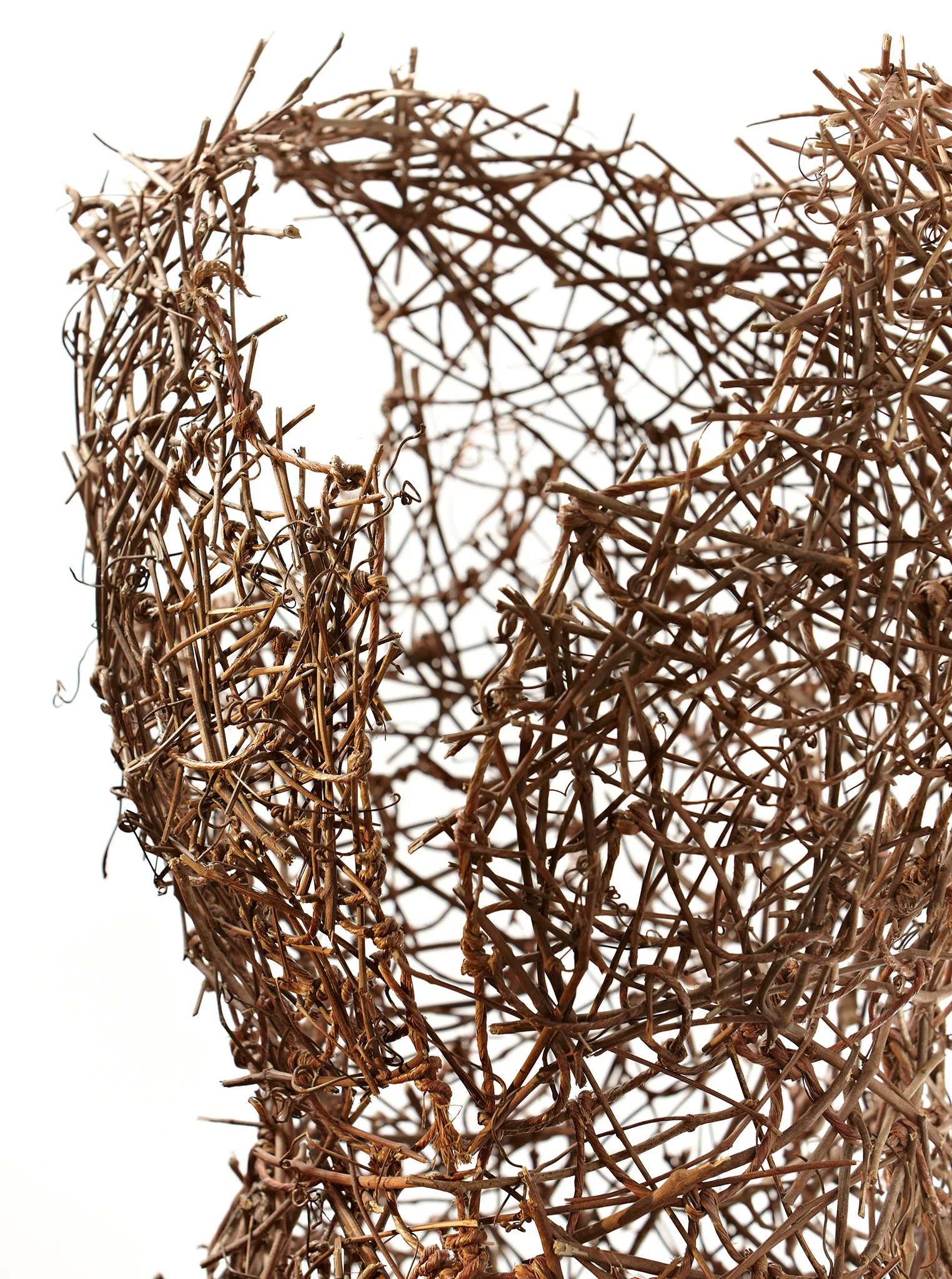 protect. nurture. release. (detail)