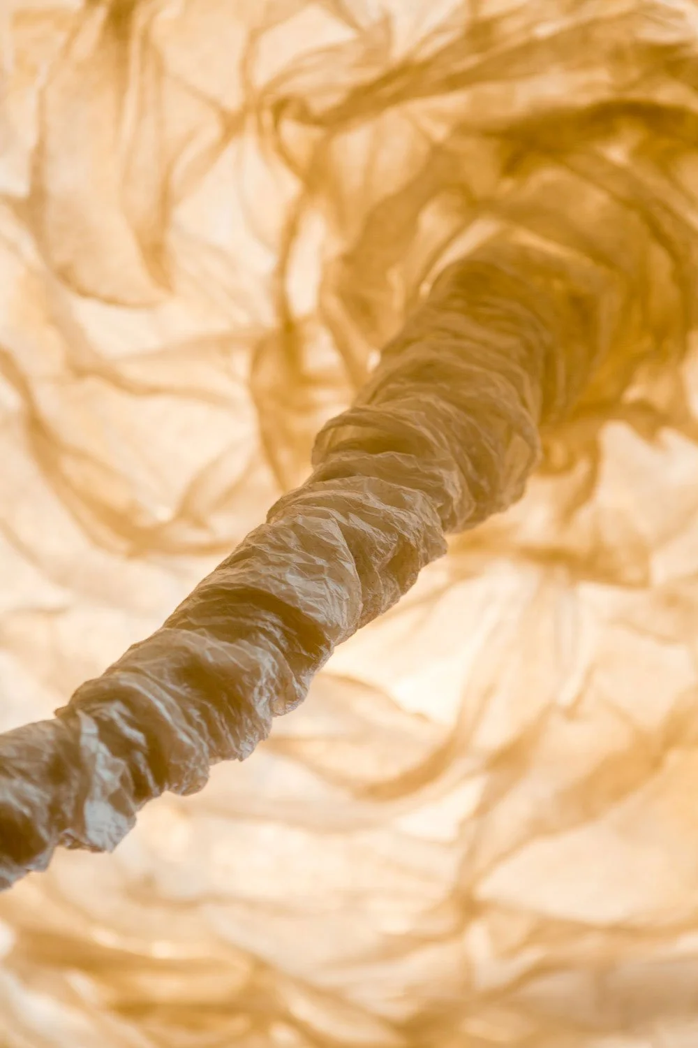 undercurrent (detail)