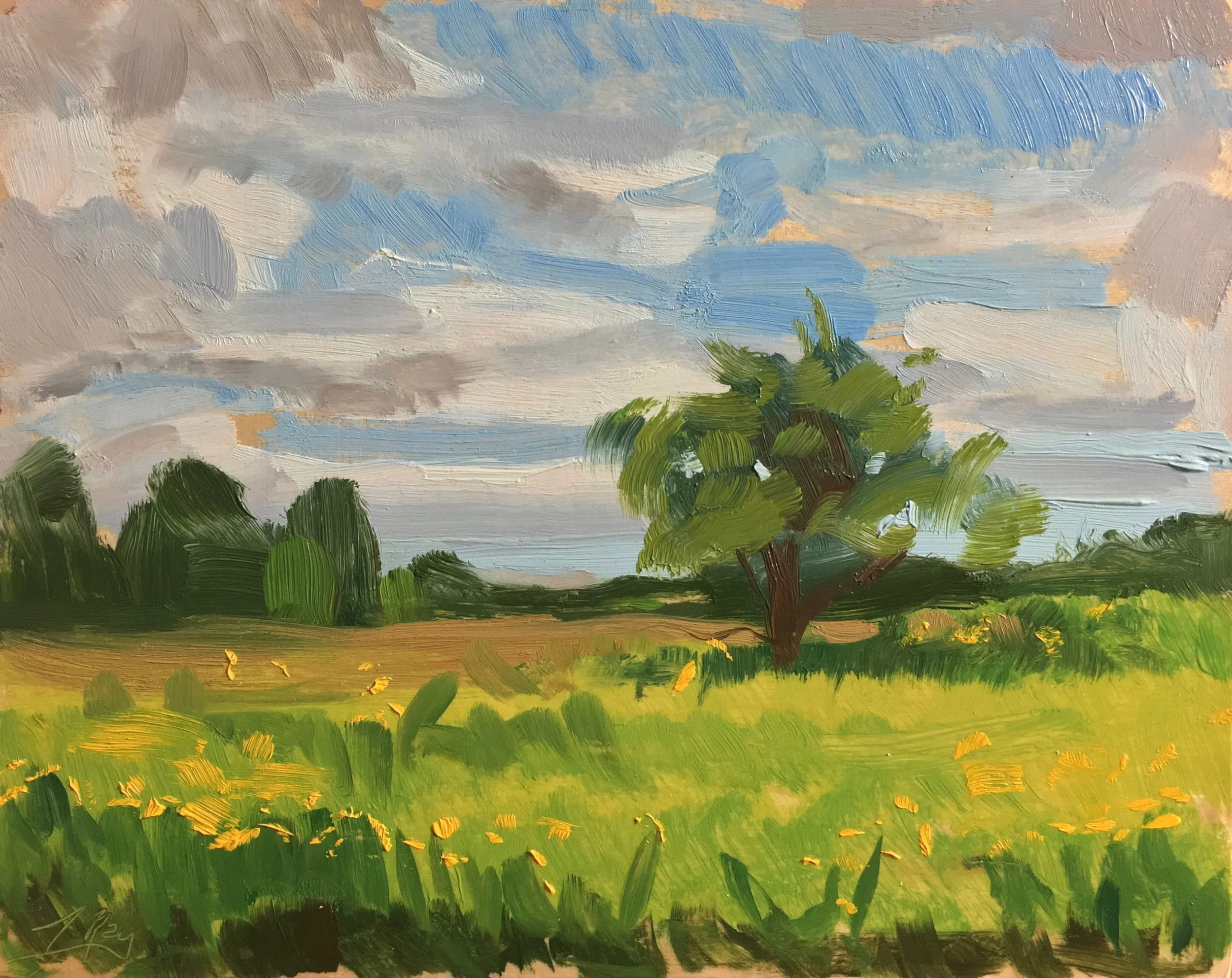 The Old Garden, Grandpa's House, 8"x10"