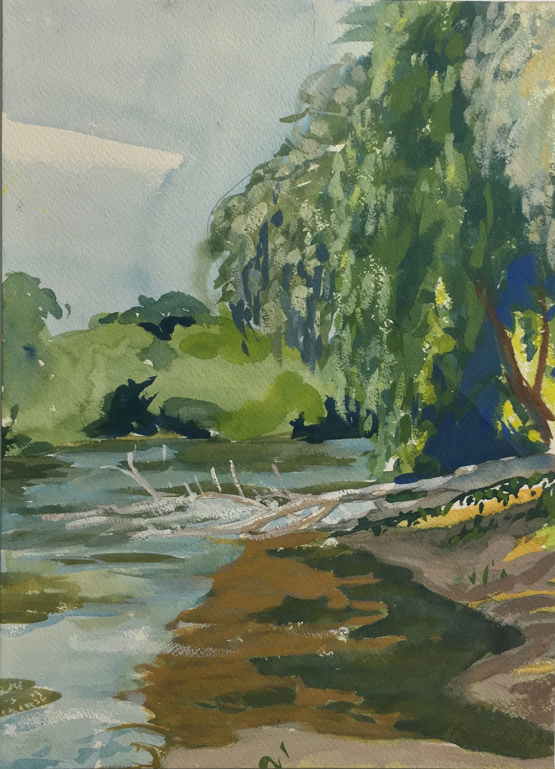 Fallen Tree, St. Joseph River, 14"x10"