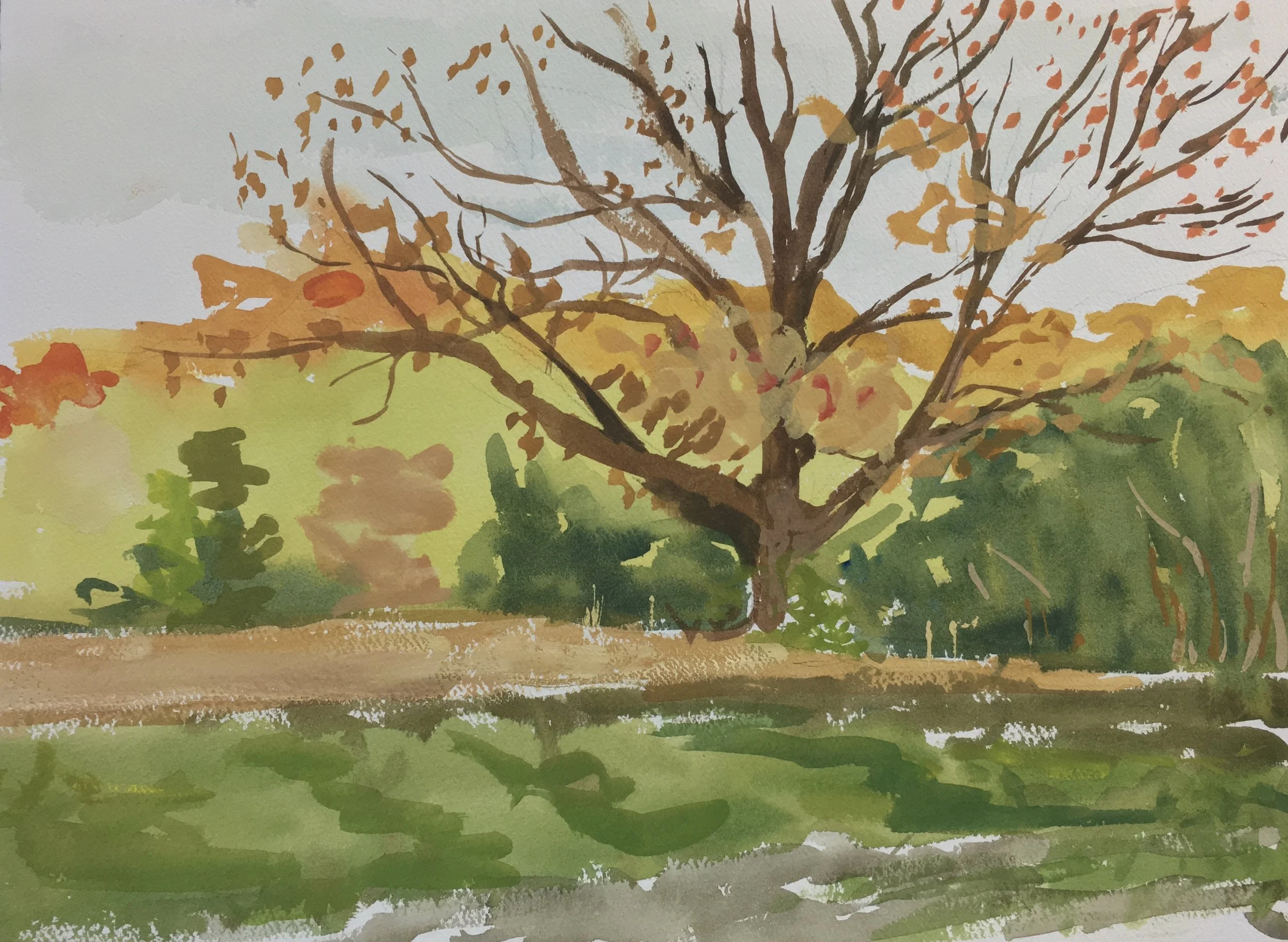 Autumn Colors, 10"x14"