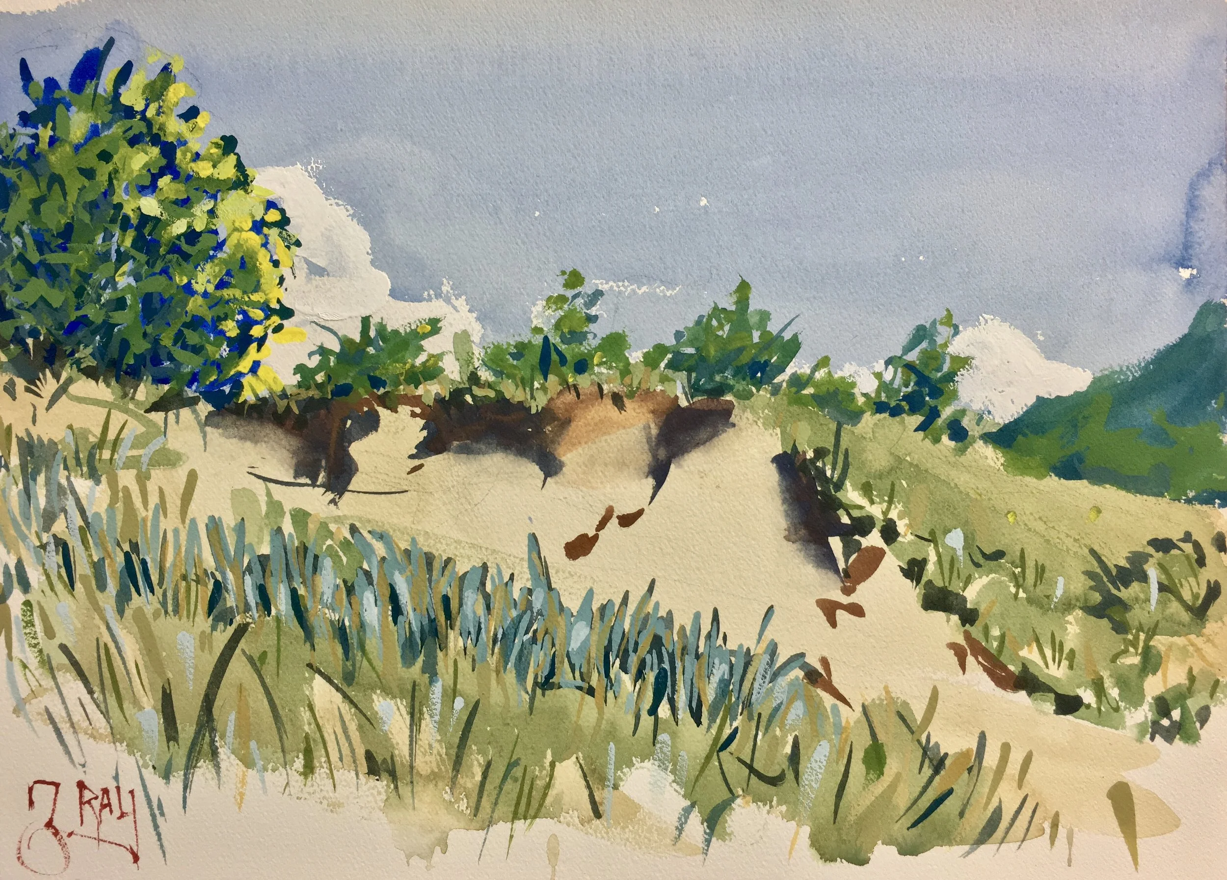 Dunegrass and Shadows